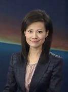 杨晨